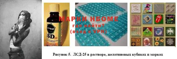 индика Костерёво