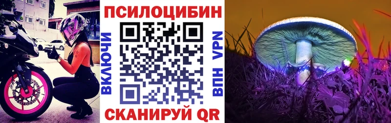 Псилоцибиновые грибы Magic Shrooms  Прохладный 